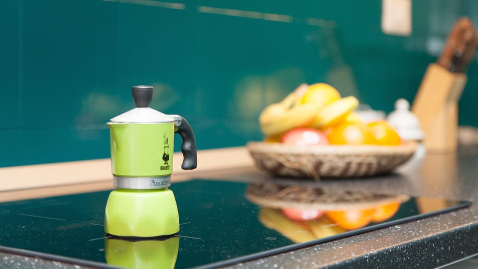 Studio Suite | Private kitchen | Full-size fridge, microwave, stovetop, dishwasher