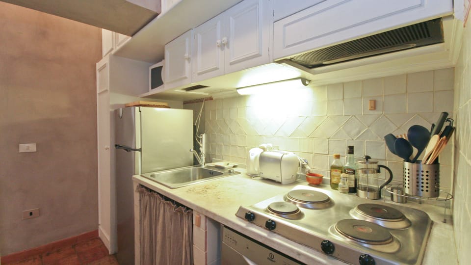 Apartment, 1 Bedroom | Private kitchen | Full-size fridge, microwave, stovetop, dishwasher