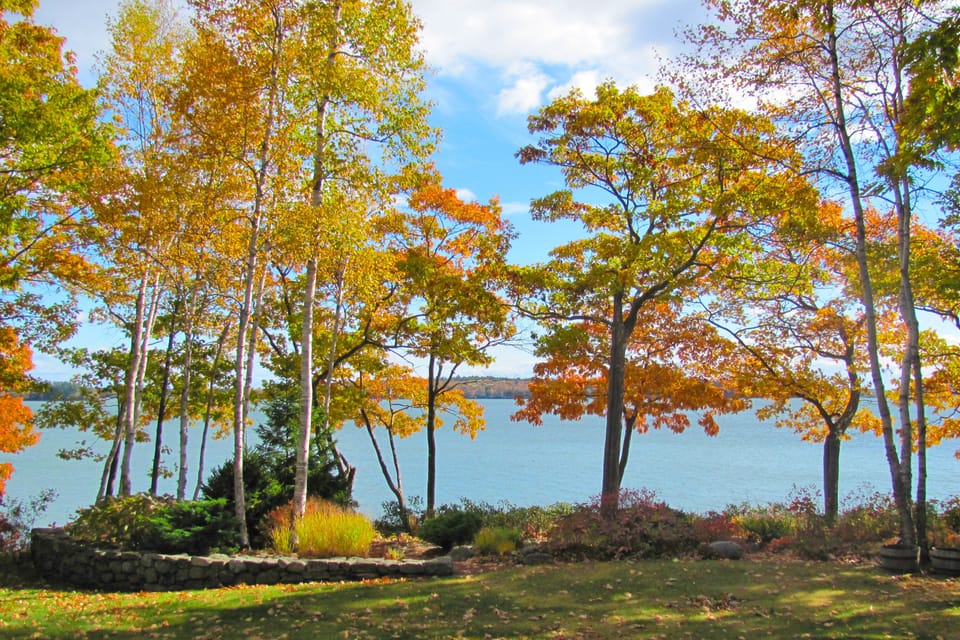 Leaf peepers delight at the fall foliage set against a gorgeous ocean backdrop.
