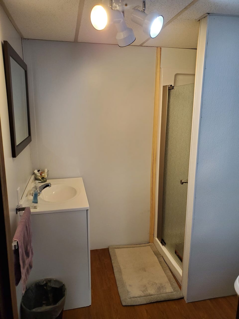 Updated downstairs bathroom, shower only.