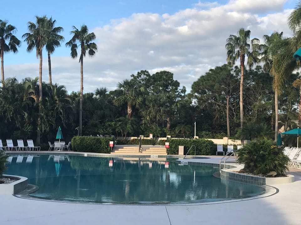 Lovely lagoon style pool