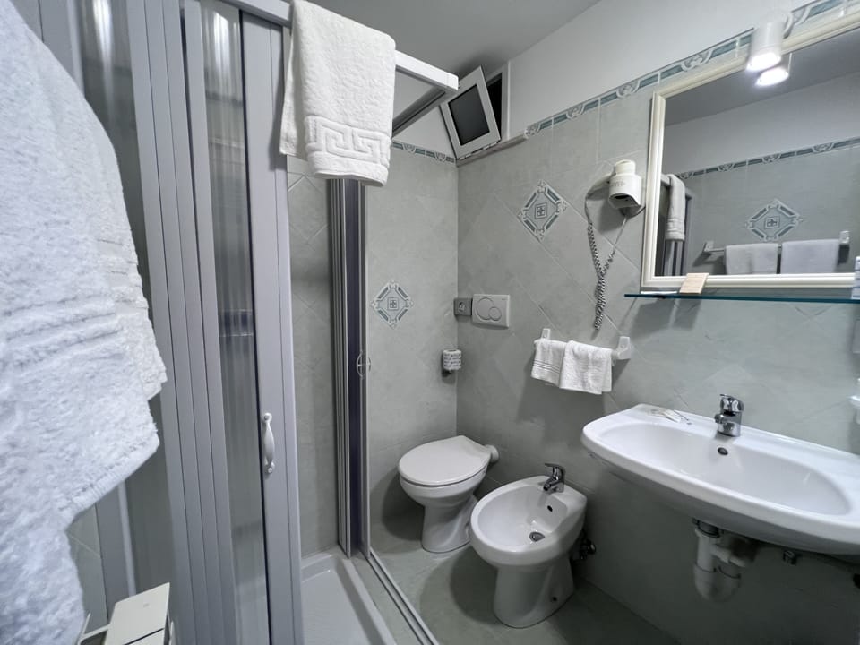 Shower, free toiletries, hair dryer, bidet