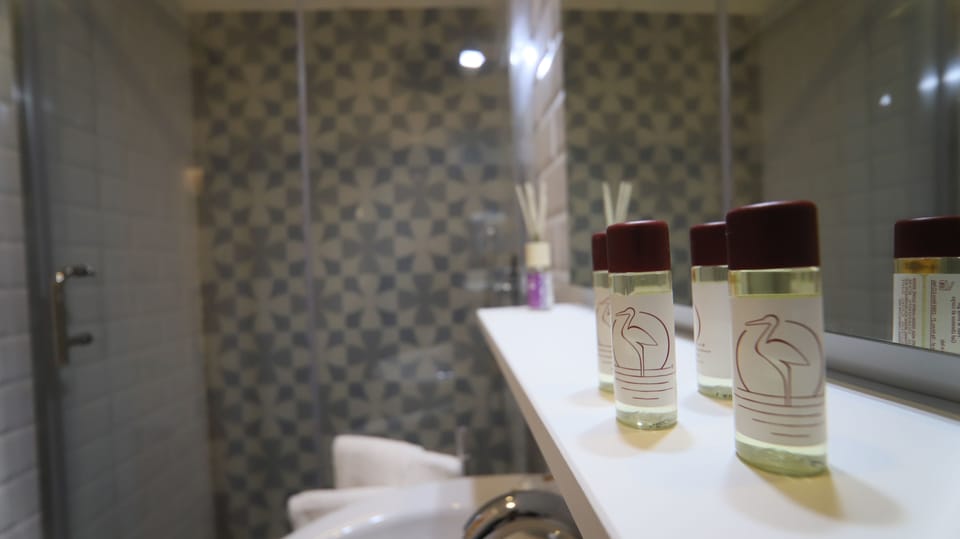 Double or Twin Room | Bathroom amenities | Shower, free toiletries, hair dryer, bidet