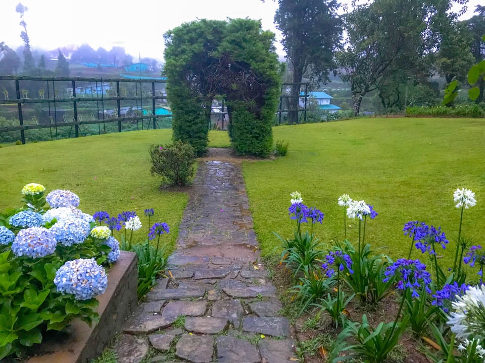 Garden