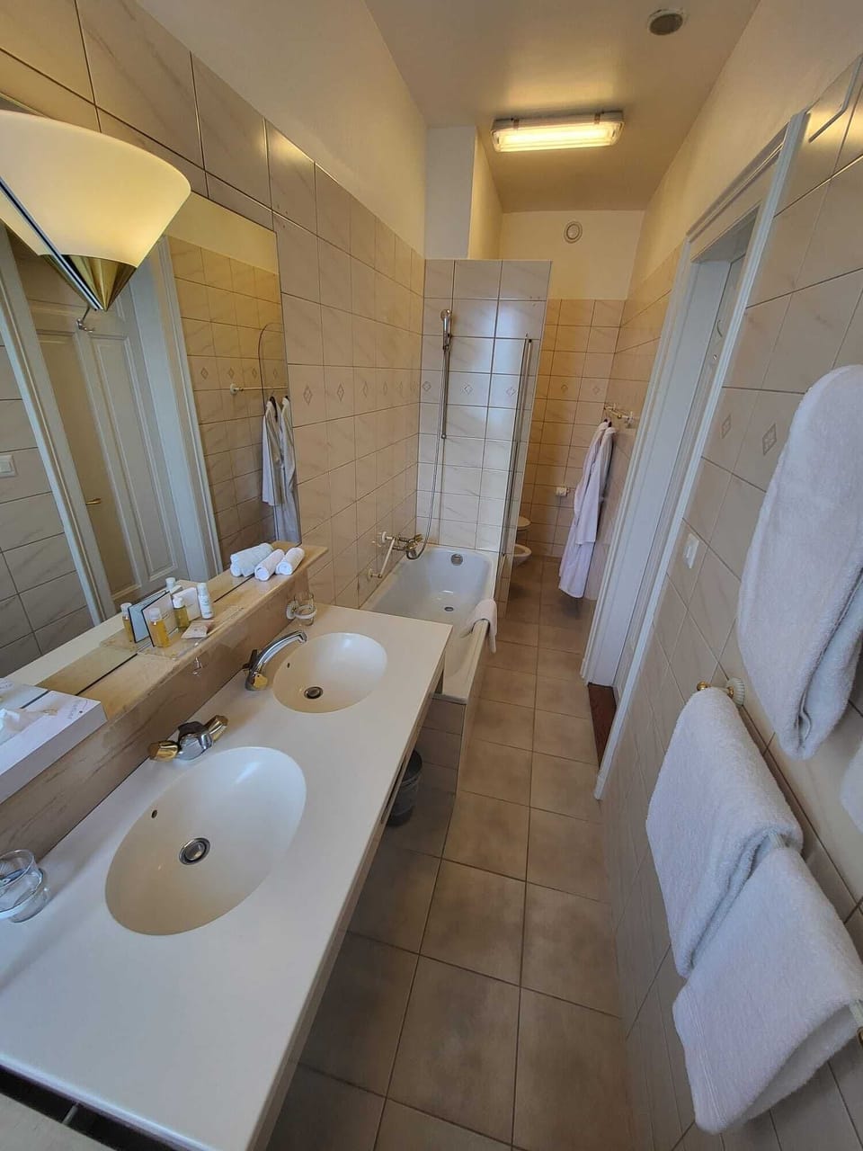 Deluxe Double Room | Bathroom | Shower, free toiletries, hair dryer, towels