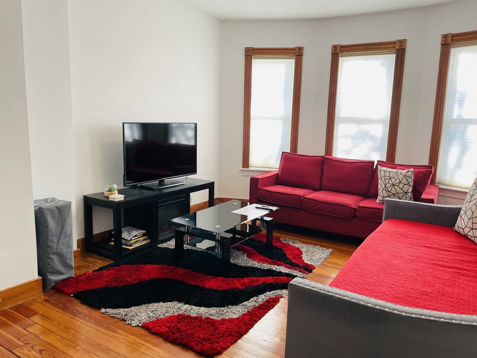 Comfortable living room with a sofa, day bed with trundle, TV and a coffee table