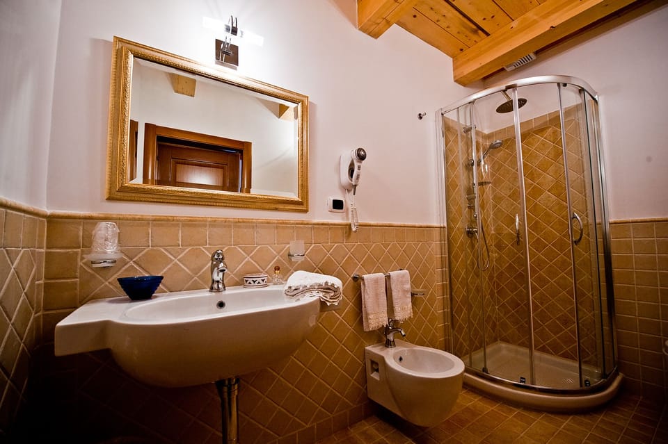 Shower, free toiletries, hair dryer, bidet