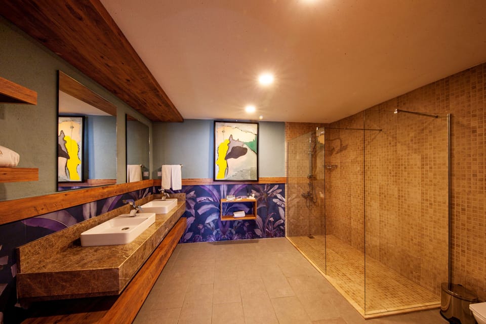 Luxury Suite | Bathroom | Shower, free toiletries, hair dryer, towels