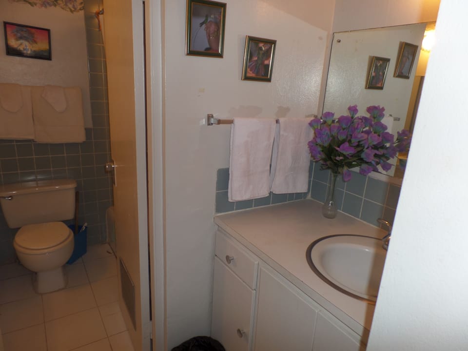 Room | Bathroom | Combined shower/tub, free toiletries, towels