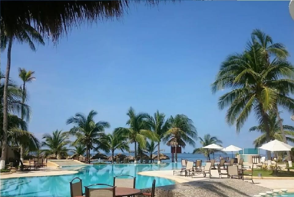 Outdoor pool, sun loungers