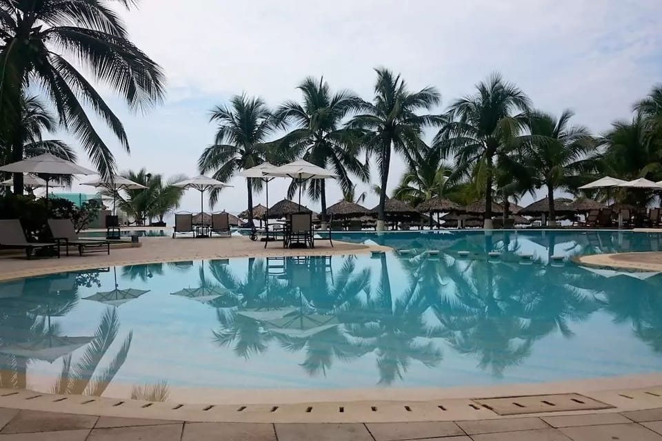Outdoor pool, sun loungers