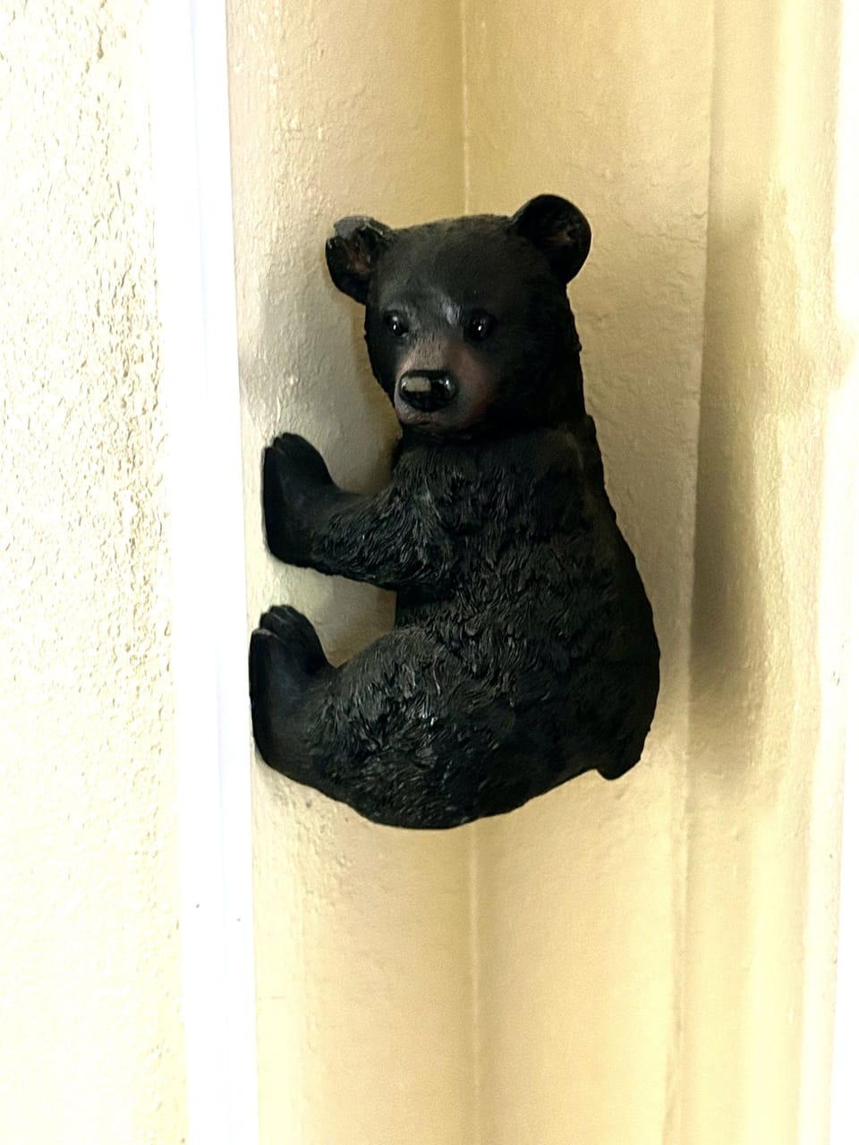 The only bear that is invited inside :)