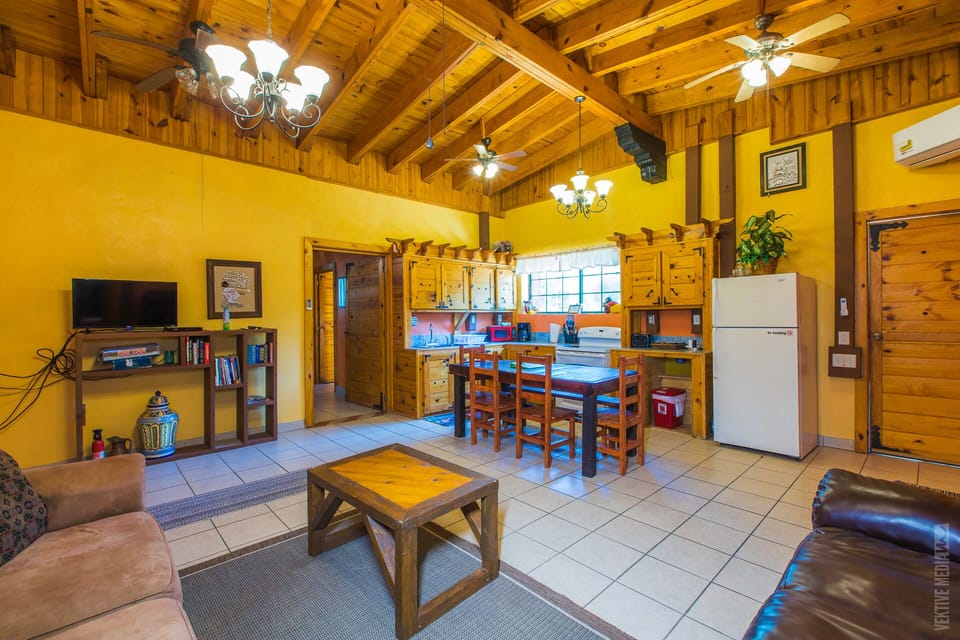 Open space: Living room, dining room, and kitchen