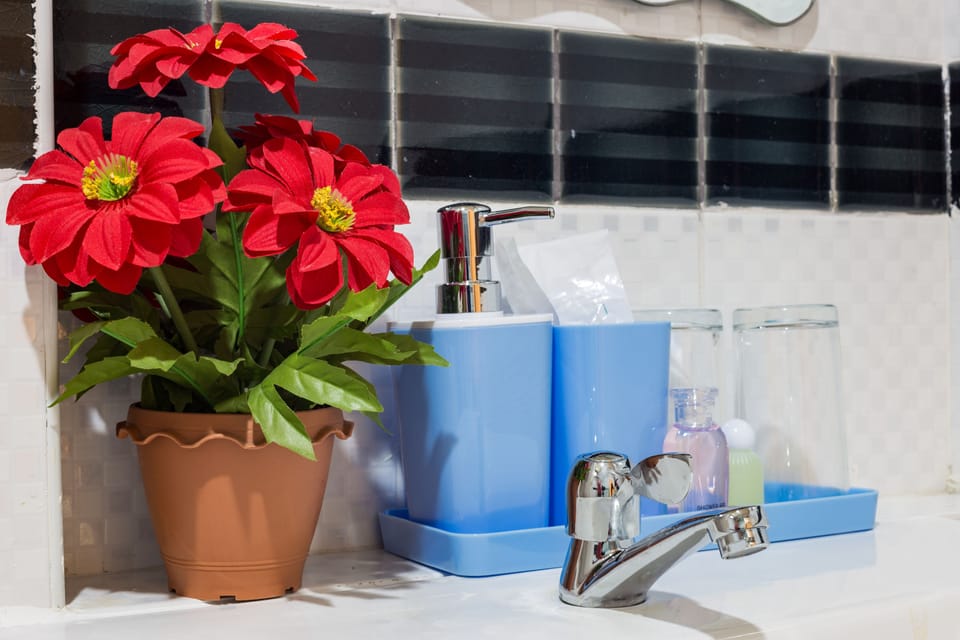 Shower, free toiletries, hair dryer, towels