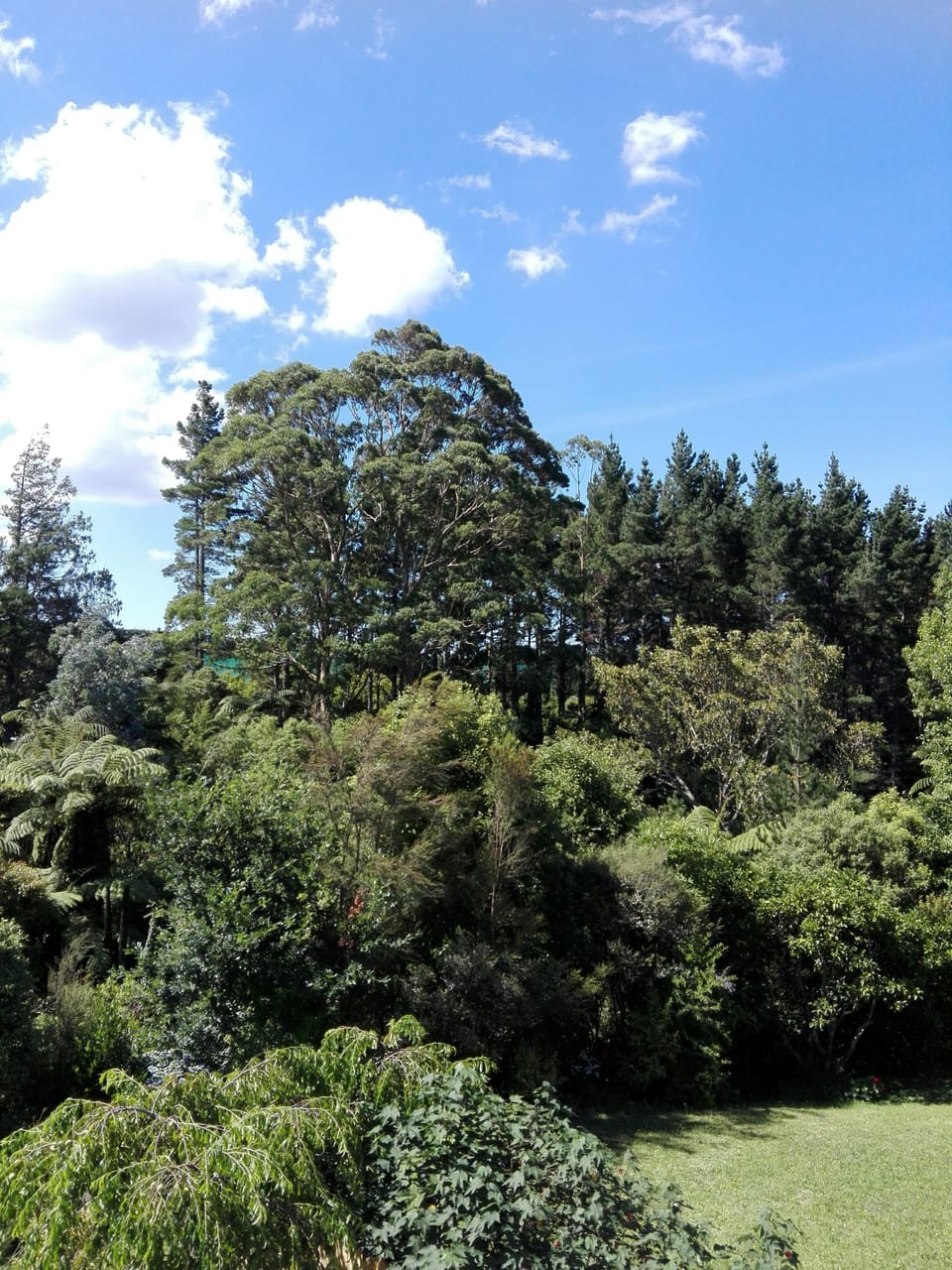 Garden view