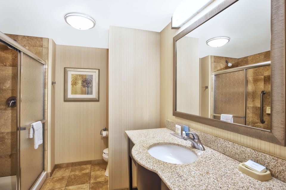 Combined shower/tub, free toiletries, hair dryer, towels