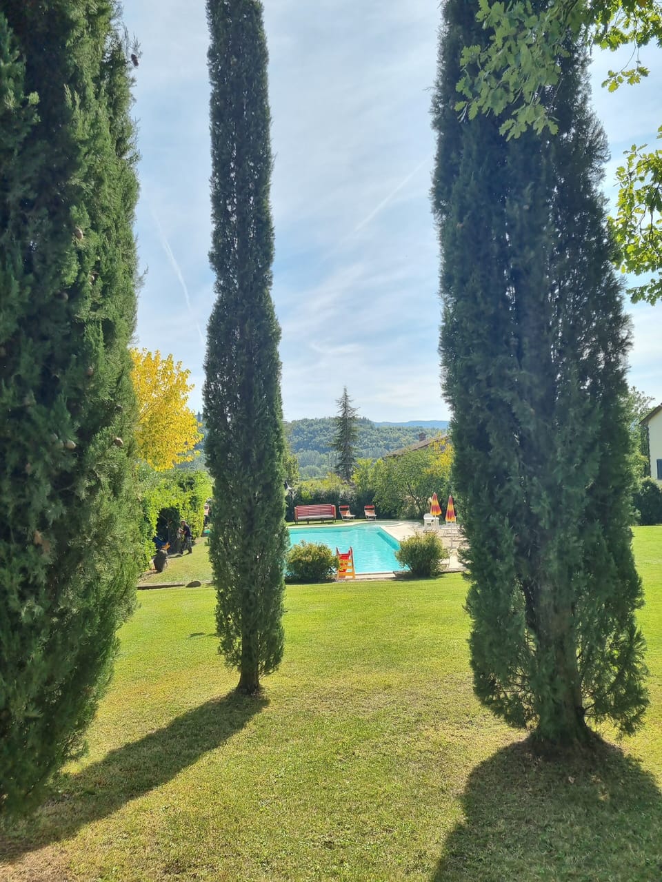 fenced garden with lawn