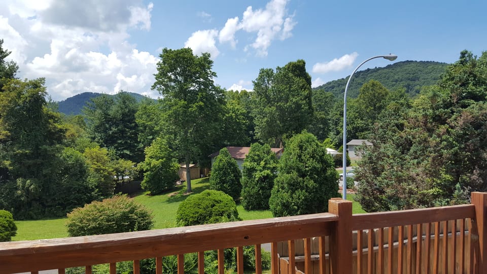 Back deck view!
