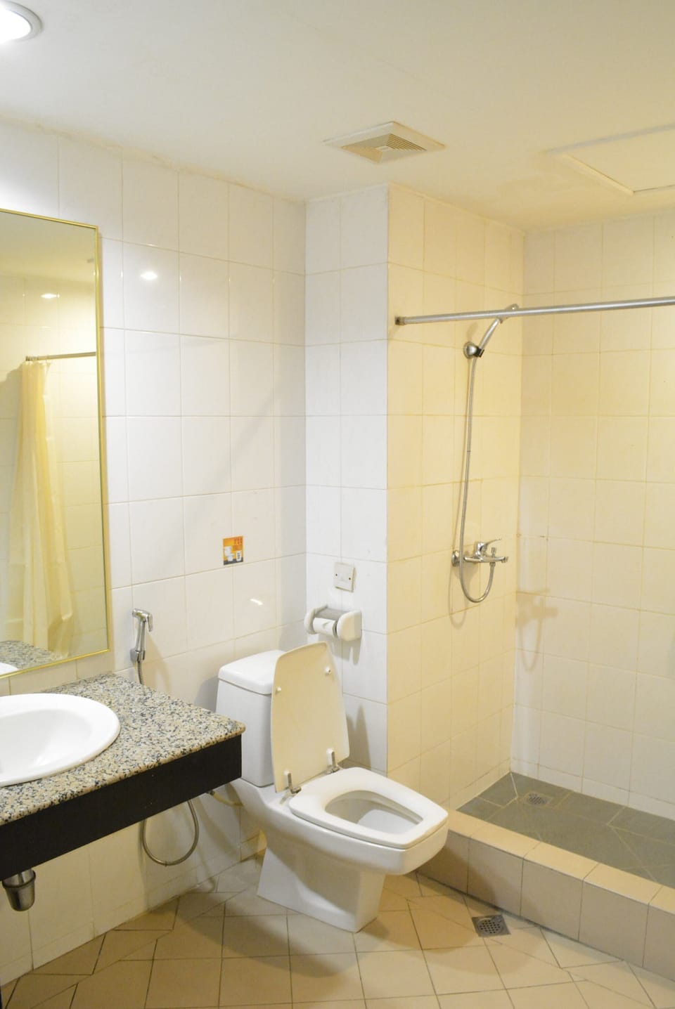 Shower, free toiletries, hair dryer, bidet