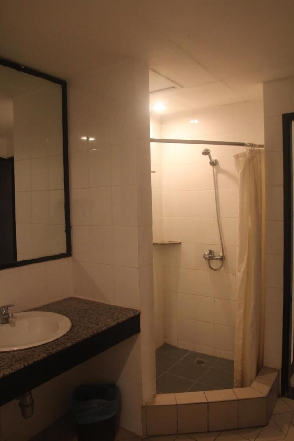 Shower, free toiletries, hair dryer, bidet