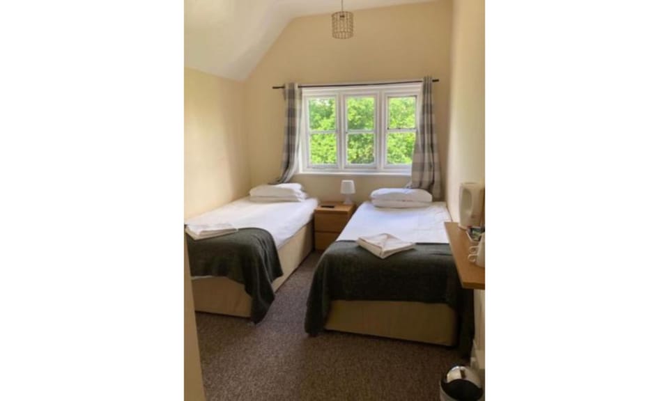 Basic Twin Room | Iron/ironing board, free WiFi, bed sheets