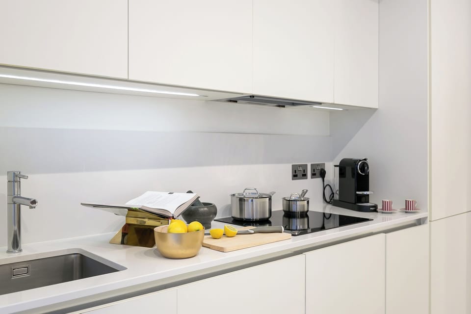 Deluxe Apartment | Private kitchen | Full-size fridge, microwave, oven, stovetop