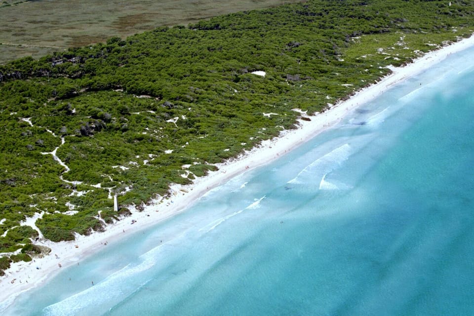 Playa de Muro - Paradise