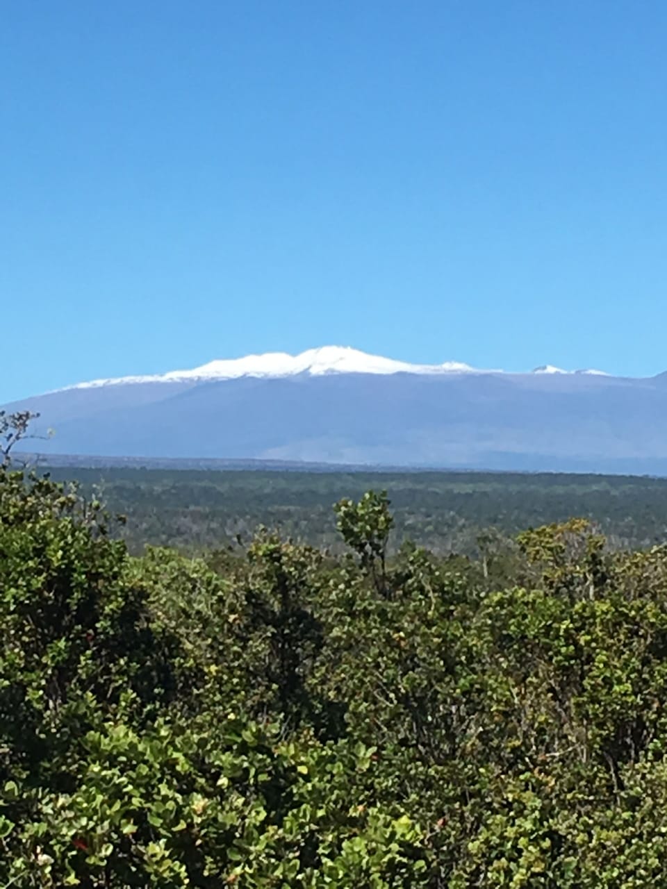 View of Mauna Kea from roof top tower deck