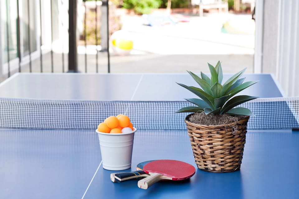 JUST ADDED! PING PONG!! Fun for All Ages! 