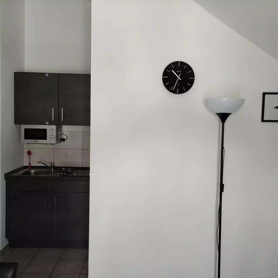 Standard Apartment, 1 Bedroom (2-Raumappartment) | Private kitchen | Fridge, microwave, stovetop, coffee/tea maker