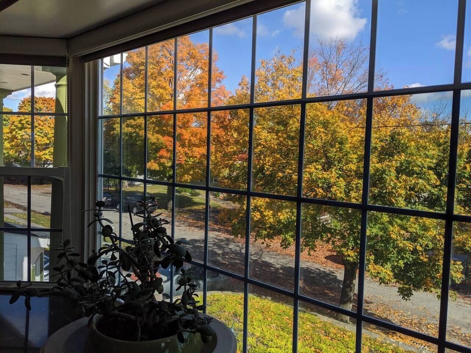 [Living area] Beautiful fall view from front bay window