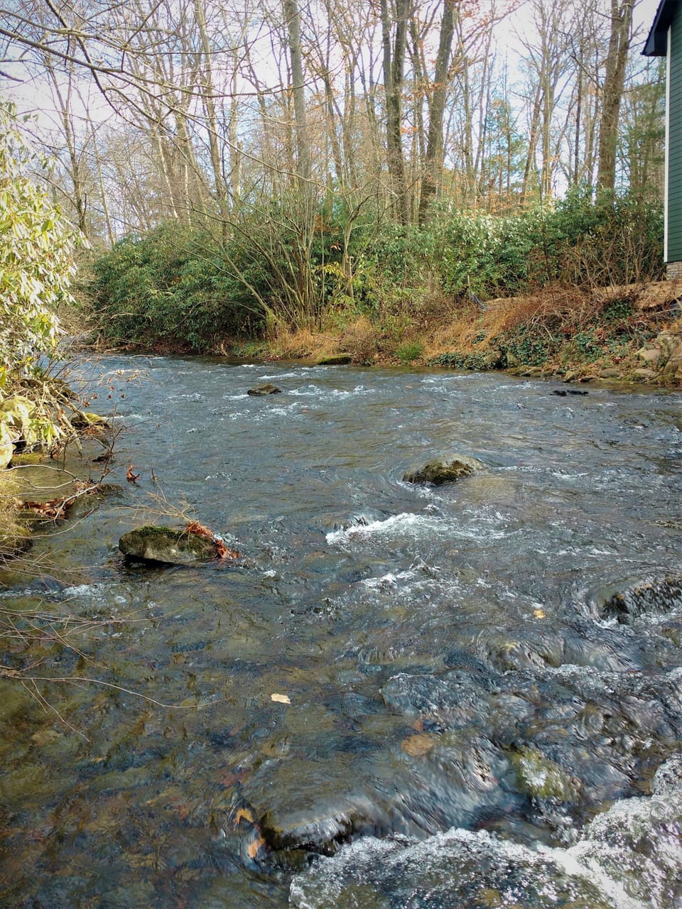 Trout stocked & natural beauties 