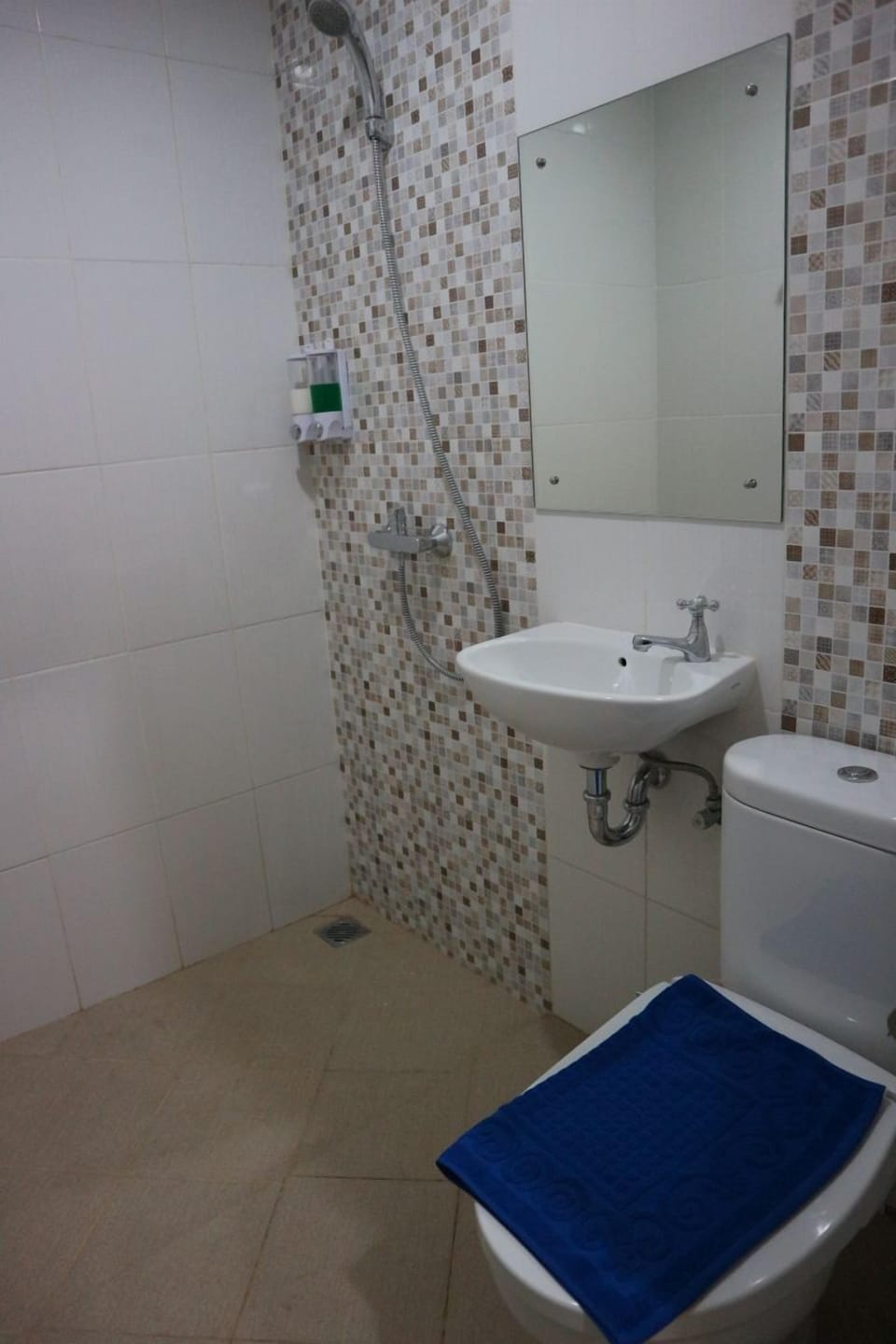 Shower, bidet, towels, soap