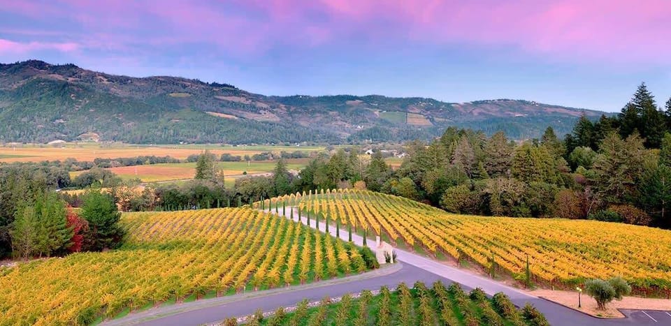 Experience the epitome of wine country living, where every sunrise brings a promise of adventure and every sunset whispers tales of tranquility.