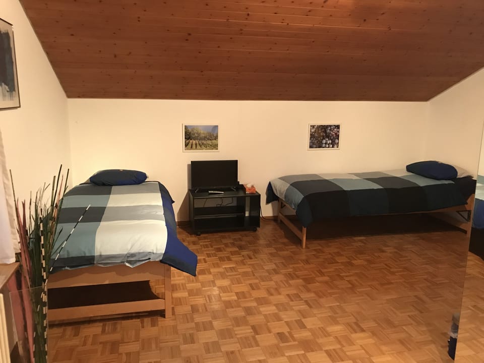 Signature Double or Twin Room, Vineyard View (Cortis) | 1 bedroom, in-room safe, desk, iron/ironing board