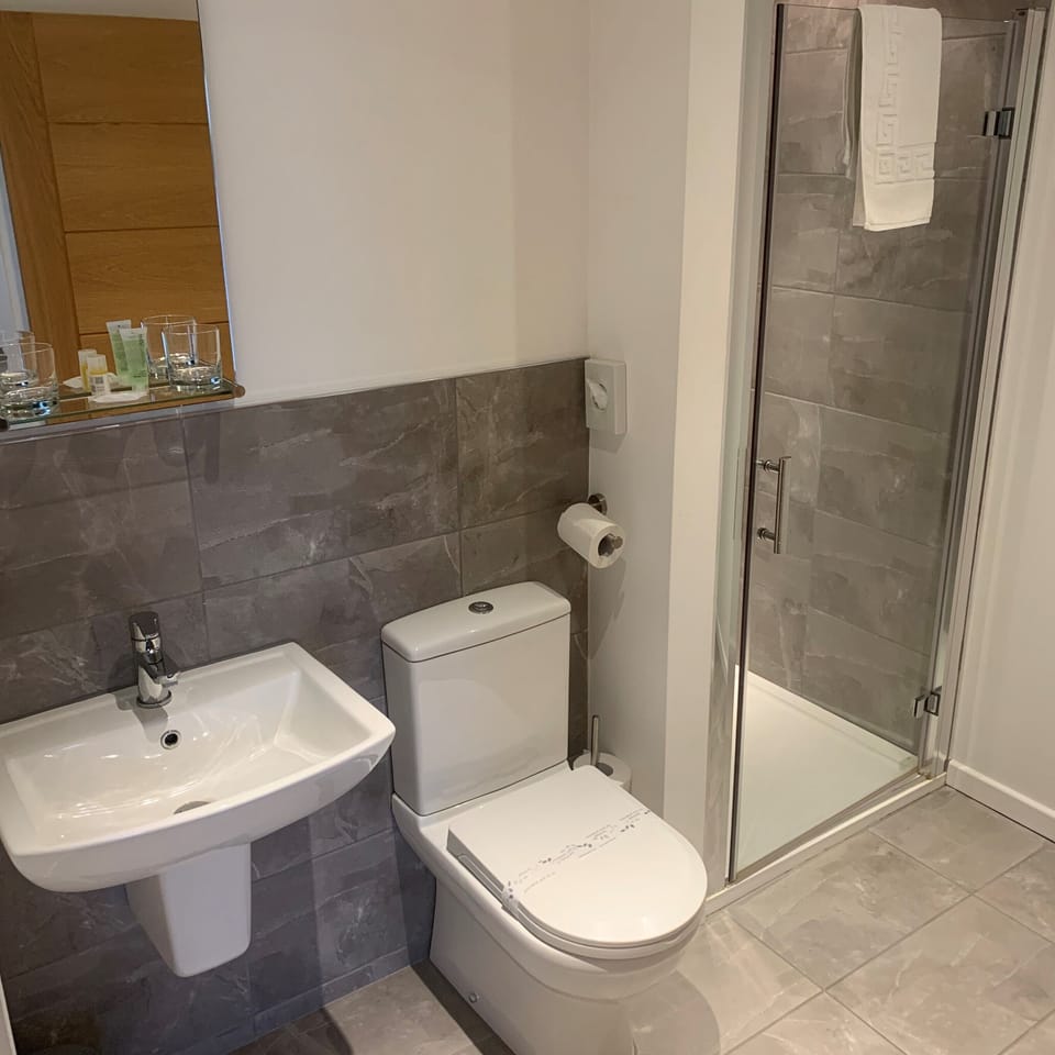 Shower, hair dryer, towels