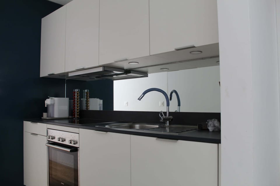 Premium Apartment | Private kitchen | Fridge, coffee/tea maker, electric kettle, cleaning supplies
