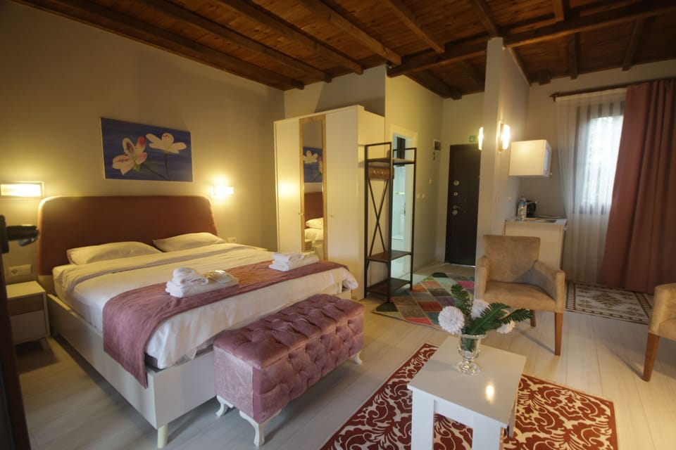 Double Room | Minibar, desk, free WiFi, wheelchair access