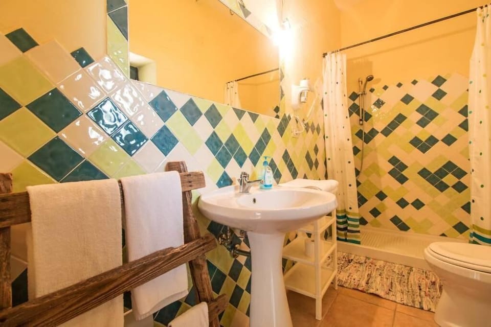 Hair dryer, bidet, towels