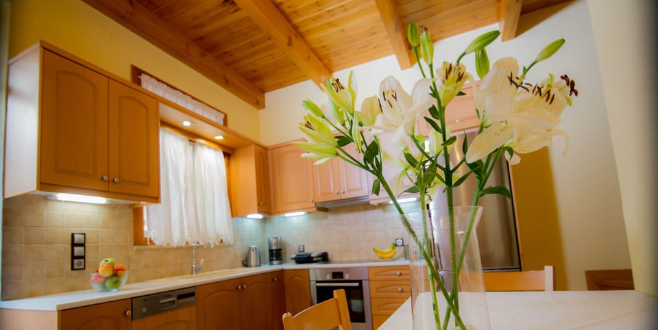 Villa | Private kitchen