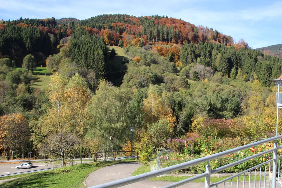 Apartment, Balcony (1) | Mountain view