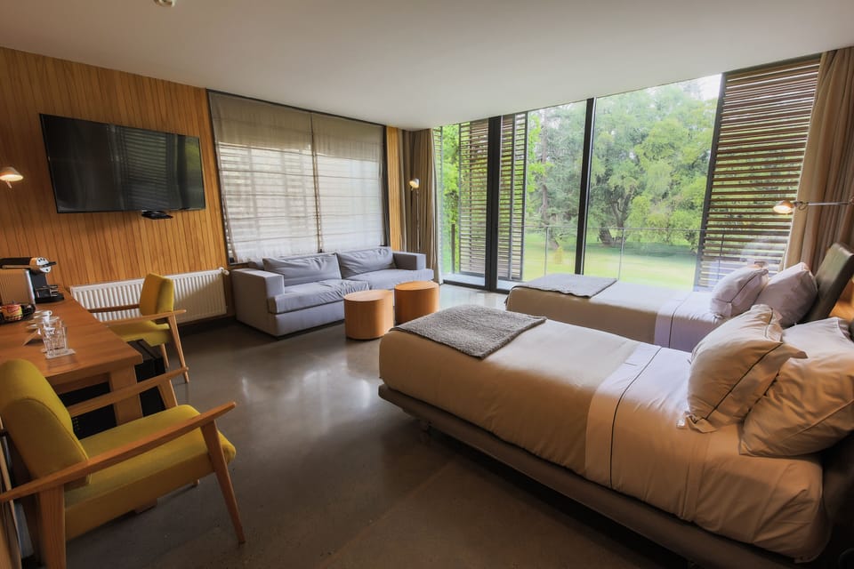 Premium Suite, Park View | View from room