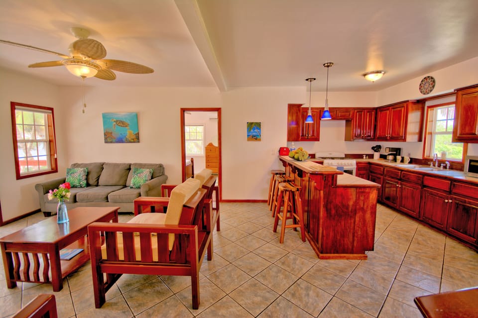 Brand new ceiling fans and lighting
