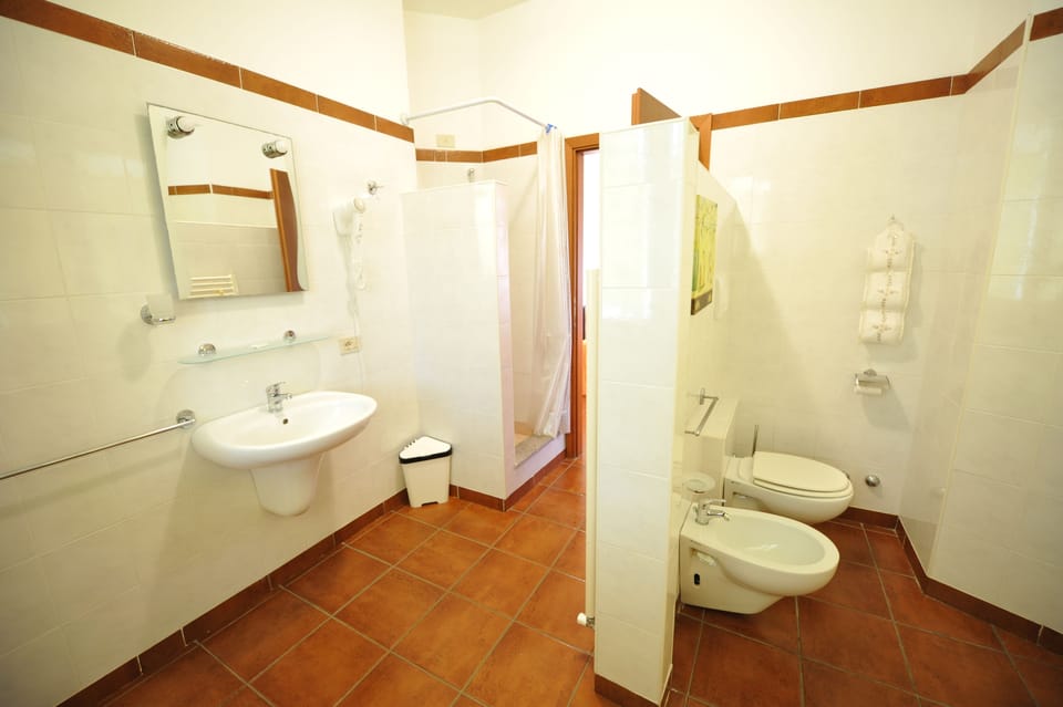 Deluxe Double or Twin Room, Pool View | Bathroom | Free toiletries, hair dryer, bidet, towels