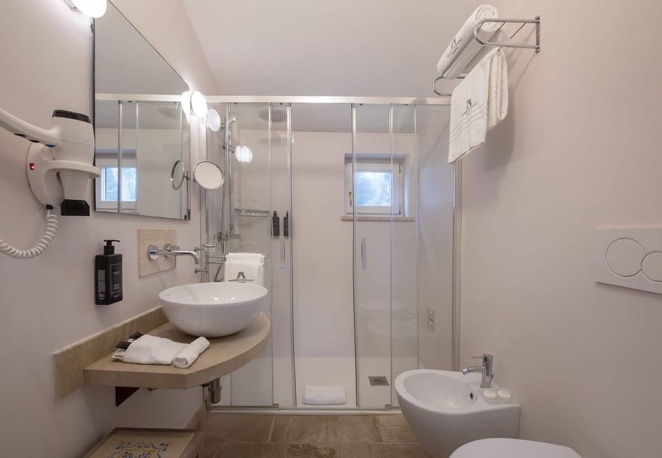 Shower, free toiletries, hair dryer, bidet