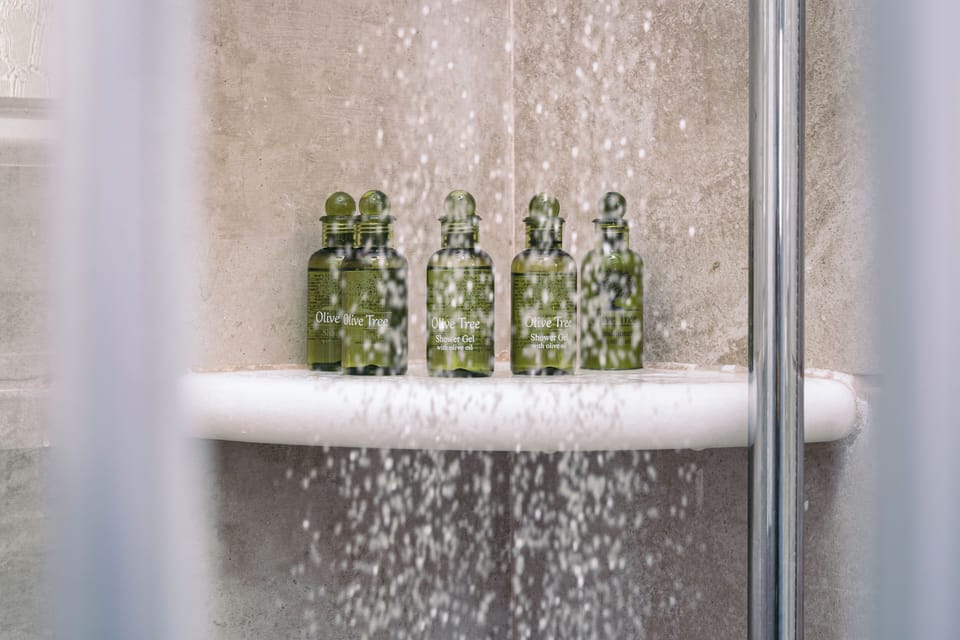 Shower, free toiletries, towels
