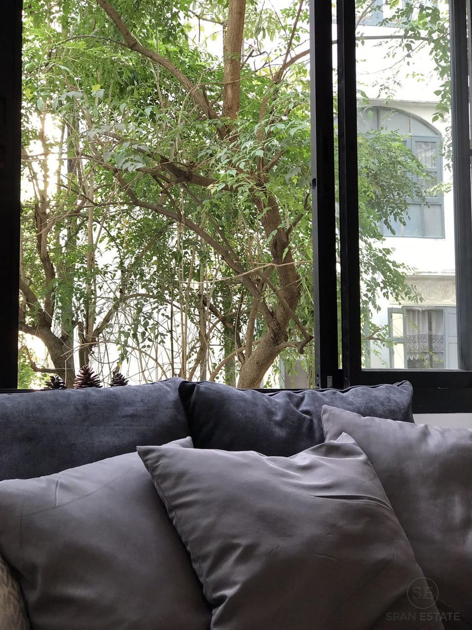 Studio | View from room