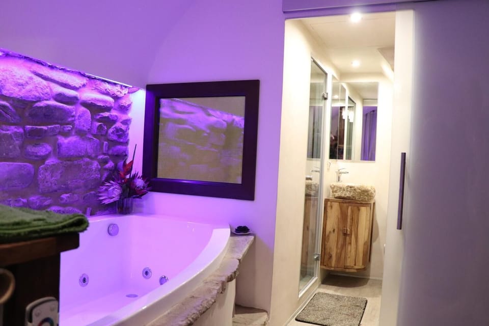 Shower, free toiletries, hair dryer, bidet