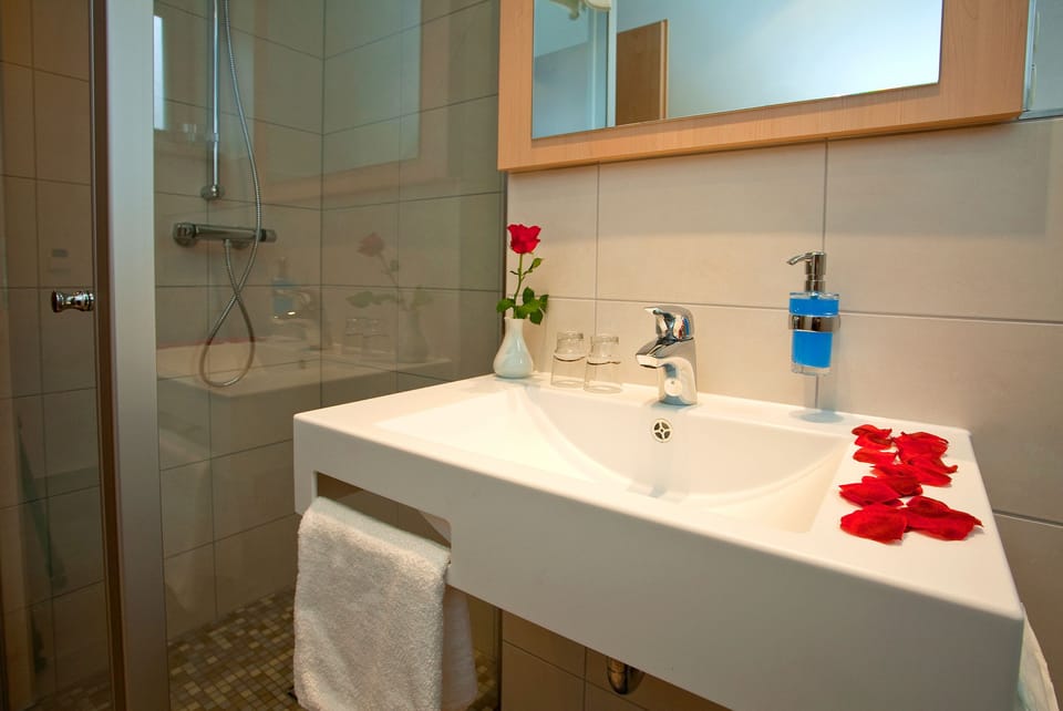 Free toiletries, hair dryer, towels