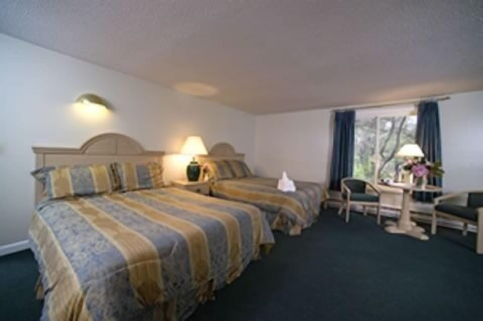 Iron/ironing board, WiFi (free), bed sheets